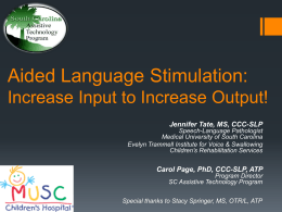 Aided Language Stimulation: Increase Input to