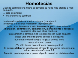 Homotecia