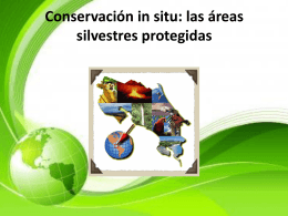 Conservación in situ: las áreas silvestres