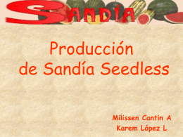 Producción de semillas de