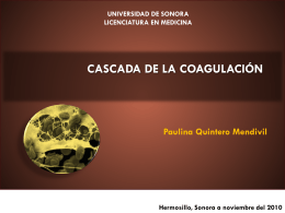 CASCADA DE LA COAGULACIÓN
