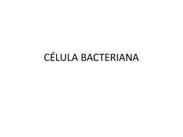 CÉLULA BACTERIANA - micro odontología | Blog