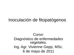 Aislamiento de hongos fitopatógenos