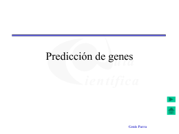 Predicción de genes - Universitat de Barcelona -