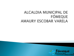 AMAURY ESCOBAR VARELA ALCALDE