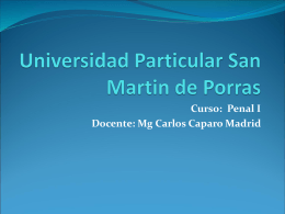 Universidad Particular San Martin de Porras