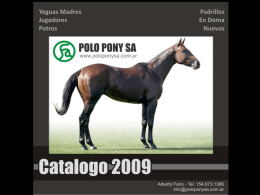 Primavera (2) - Polo Pony SA