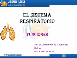 El sistema respiratorio - Portada Principal Uruguay Educa