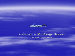 Salmonella Isolation - Universidad de Puerto Rico Humacao
