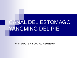 CANAL DEL ESTOMAGO YANGMING DEL PIE