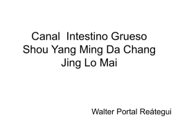 Canal Intestino Grueso Shou Yang Ming Da Chang Jing Lo …