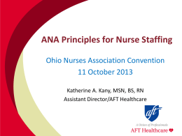 Principles for Nurse staffing
