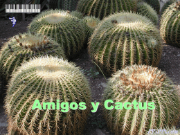 Amigos y cactus.