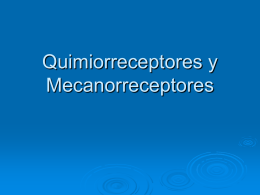 Quimioreceptores