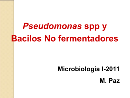 Pseudomonas - Microinmunoumg's Blog | Just another