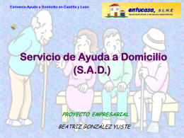 Servicio de Ayuda a Domicilio (S.A.D.)