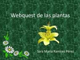 Webquest de la plantas