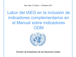 IAEG work on additional indicators for the Handbook on …