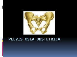 PELVIS OSEA OBSTETRICA