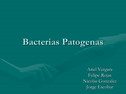 Bacterias Patogenas - BIOLOGIA | Just another WordPress