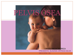 PELVIS OSEA - Seccionseis’s Weblog