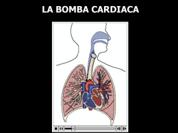 LA BOMBA CARDIACA - Facultad de Ciencias de la Salud