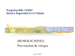 Programa BID- FUSAT Salud y Seguridad en el Trabajo