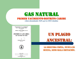 GAS NATURAL PRIMER YACIMIENTO