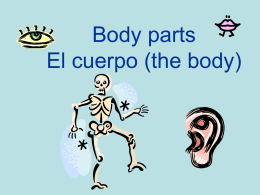 Body parts El cuerpo (the body)