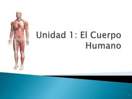 Unidad 1: El Cuerpo Humano - IED | Bachillerato para …