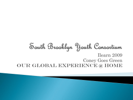 South Brooklyn Youth Consortium