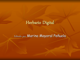 Herbario Digital - pibiobach