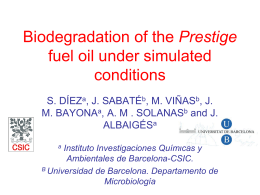 Biodegradation of the Prestige fuel oil under simulated