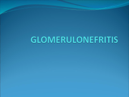 GLOMERULONEFRITIS - Enfermeriavespertina's Blog