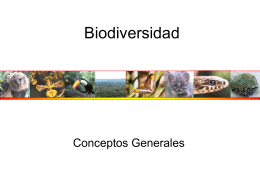 Biodiversidad Global: - CursodeEcologiaFacen
