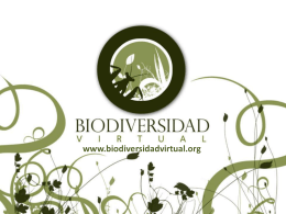 Diapositiva 1 - Biodiversidad Virtual