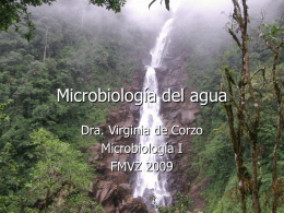 MICROBIOLOGIA DEL AGUA - Avindustrias Guatemala
