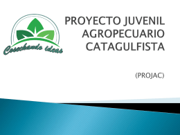 PROYECTO JUVENIL AGROPECUARIO CATAGULFISTA