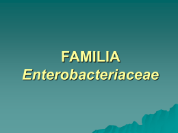 FAMILIA Enterobacteriaceae
