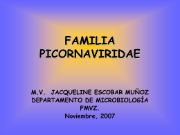 FAMILIA PICORNAVIRIDAE - Avindustrias Guatemala