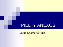 PIEL Y ANEXOS - Blog de Medicina UPV 2009