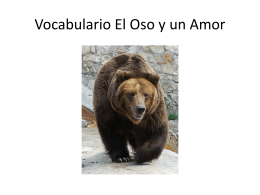Vocabulario El Oso y un Amor - Spanish