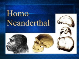 Homo Neardental