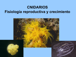 Diapositiva 1 - Blog Grado Ciencias del Mar