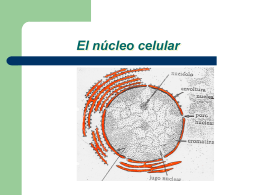 Diapositiva 1 - LICEO CAMILO HENRIQUEZ