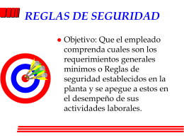 REGLAS DE SEGURIDAD - Apuntes, Tareas, Monografias