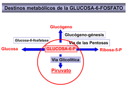 METABOLISMO - quimicabiologicaunsl