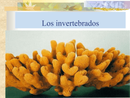 Los invertebrados - Gobierno de La Rioja