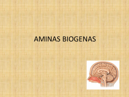 AMINAS BIOGENAS - Seccionseis’s Weblog