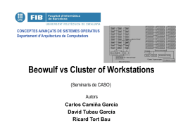 Beowulf vs Cluster of Workstations